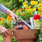 6 Ways to Keep Your Garden Maintenance Costs Down This Summer